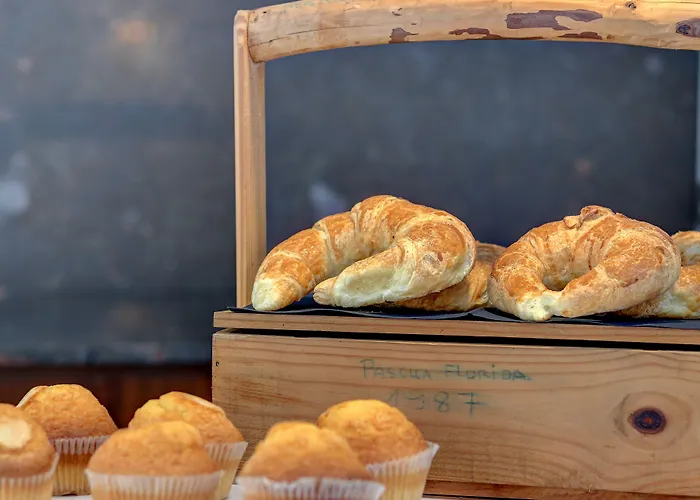 Desbrull Couette-café Pollença